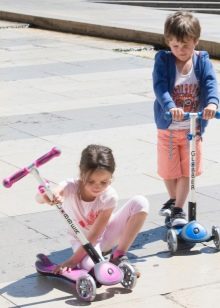 Самокати Globber: триколісні й двоколісні дитячі та дорослі самокати, електросамокати зі світними колесами і інші моделі