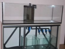 Сампо для акваріума (15 фото): що це таке? Схема роботи вбудованого акваріумного сампа. Розрахунок сампа для прісноводного акваріума. Для чого він потрібен?