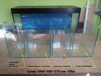 Сампо для акваріума (15 фото): що це таке? Схема роботи вбудованого акваріумного сампа. Розрахунок сампа для прісноводного акваріума. Для чого він потрібен?