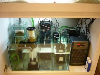 Сампо для акваріума (15 фото): що це таке? Схема роботи вбудованого акваріумного сампа. Розрахунок сампа для прісноводного акваріума. Для чого він потрібен?