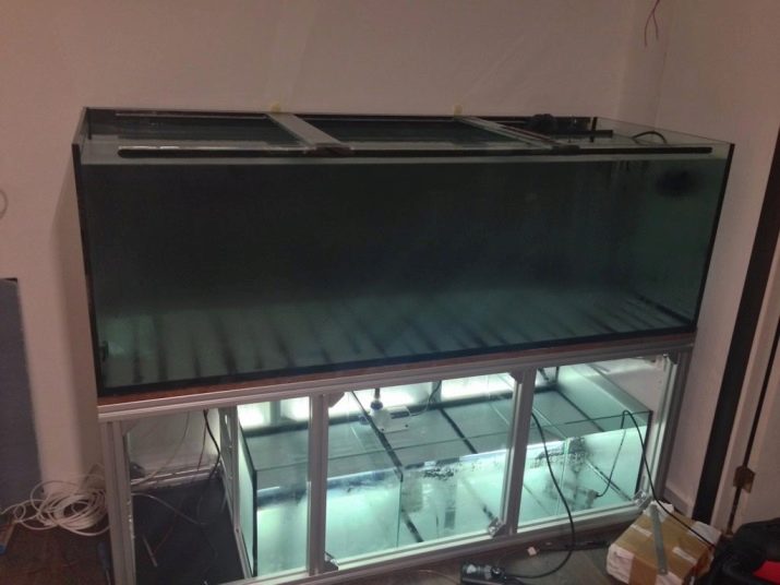 Сампо для акваріума (15 фото): що це таке? Схема роботи вбудованого акваріумного сампа. Розрахунок сампа для прісноводного акваріума. Для чого він потрібен?