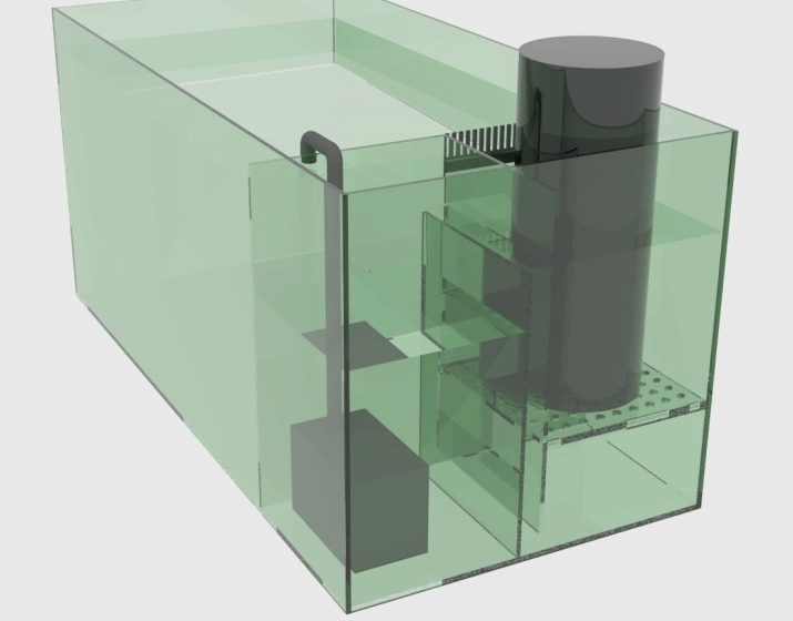 Сампо для акваріума (15 фото): що це таке? Схема роботи вбудованого акваріумного сампа. Розрахунок сампа для прісноводного акваріума. Для чого він потрібен?