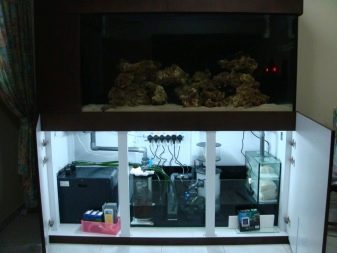 Сампо для акваріума (15 фото): що це таке? Схема роботи вбудованого акваріумного сампа. Розрахунок сампа для прісноводного акваріума. Для чого він потрібен?