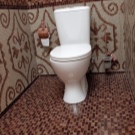 Санвузол у дерев’яному будинку (76 фото): дизайн кімнати в будинку з бруса на дачі, приклади обробки підлоги, схеми вентиляції