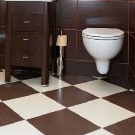 Санвузол у дерев’яному будинку (76 фото): дизайн кімнати в будинку з бруса на дачі, приклади обробки підлоги, схеми вентиляції