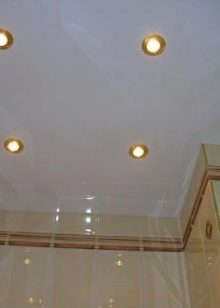 Санвузол у дерев’яному будинку (76 фото): дизайн кімнати в будинку з бруса на дачі, приклади обробки підлоги, схеми вентиляції