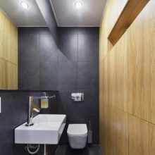 Санвузол у дерев’яному будинку (76 фото): дизайн кімнати в будинку з бруса на дачі, приклади обробки підлоги, схеми вентиляції