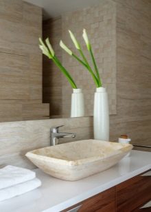 Санвузол у дерев’яному будинку (76 фото): дизайн кімнати в будинку з бруса на дачі, приклади обробки підлоги, схеми вентиляції