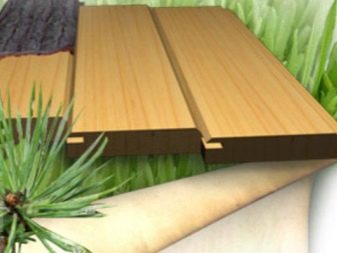 Сауна на балконі (фото 48): особливості створення парильні на лоджії в квартирі, цікаві ідеї