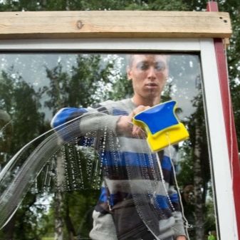 Щітка для миття вікон (34 фото): варіант для чищення з двох сторін, двостороння продукція з телескопічною ручкою, варіанти для миття зовні