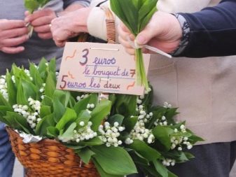 Що подарувати дівчині на побаченні? Ідеї подарунків при зустрічі взимку. Які квіти вибрати?