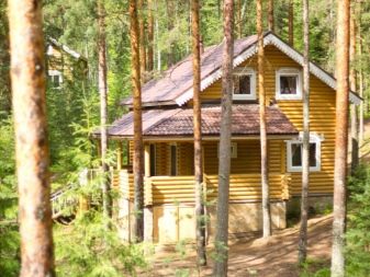 Що подарувати дівчині, щоб відзначити дату відносин? Що корисного подарувати дівчині на початку відносин, на півроку та на рік?