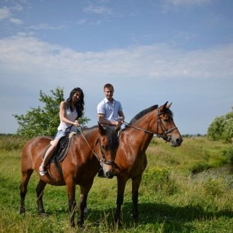Що подарувати дружині на 5 років весілля? Вибираємо подарунок на дерев’яну річницю