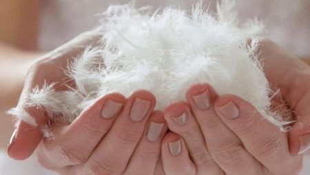 Що тепліше – пух або синтепон? Який з матеріалів краще на зиму? Особливості синтепуха. Яка між ними різниця?