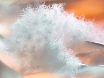 Що тепліше – пух або синтепон? Який з матеріалів краще на зиму? Особливості синтепуха. Яка між ними різниця?