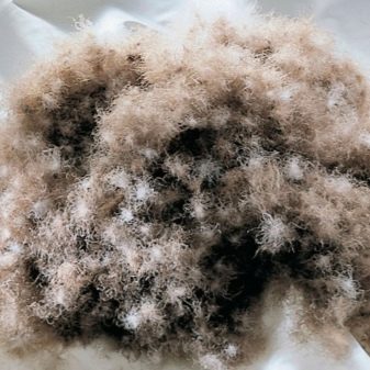 Що тепліше – пух або синтепон? Який з матеріалів краще на зиму? Особливості синтепуха. Яка між ними різниця?