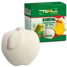 Сенегальський папуга (22 фото): вибір проса для сенегальського длиннокрылого папугу. Особливості його розведення. Скільки років він живе? Відгуки власників