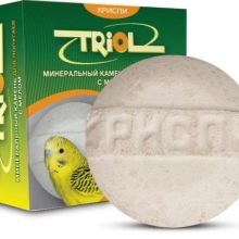 Сенегальський папуга (22 фото): вибір проса для сенегальського длиннокрылого папугу. Особливості його розведення. Скільки років він живе? Відгуки власників