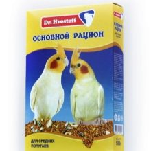 Сенегальський папуга (22 фото): вибір проса для сенегальського длиннокрылого папугу. Особливості його розведення. Скільки років він живе? Відгуки власників
