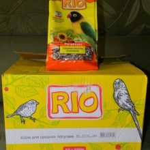 Сенегальський папуга (22 фото): вибір проса для сенегальського длиннокрылого папугу. Особливості його розведення. Скільки років він живе? Відгуки власників