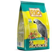 Сенегальський папуга (22 фото): вибір проса для сенегальського длиннокрылого папугу. Особливості його розведення. Скільки років він живе? Відгуки власників