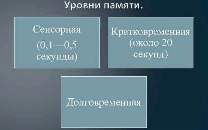 Сенсорна пам’ять: що це таке в психології? Протягом якого часу функціонує сенсорна підсистема?