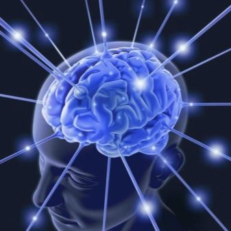 Сенсорна пам’ять: що це таке в психології? Протягом якого часу функціонує сенсорна підсистема?