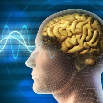 Сенсорна пам’ять: що це таке в психології? Протягом якого часу функціонує сенсорна підсистема?