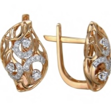 Сережки (143 фото): модні сережки 2020, які краще виглядають у вухах, моделі з полімерної глини, стильні сережки фріволіте і хрести