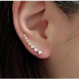 Сережки (143 фото): модні сережки 2020, які краще виглядають у вухах, моделі з полімерної глини, стильні сережки фріволіте і хрести