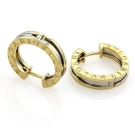 Сережки Bulgari (72 фото): сережки від іменитого бренду – скарб на ваших вухах