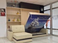 Шафа-диван-ліжко (91 фото): вбудована відкидна меблі-трансформер 3 в 1 і багатофункціональні двоспальні вертикальні трансформери, інші моделі