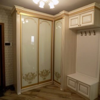 Шафа-купе в маленьку прихожу (59 фото): ідеї дизайну і розміри невеликих шаф, кутові моделі у вузьку передпокій