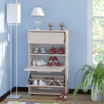 Шафи для взуття в передпокій (61 фото): вузькі і широкі взуттєві шафи, шафи з асиметричними дверима, високі кутові обувниці і інші варіанти