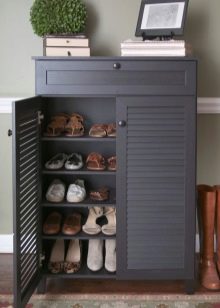 Шафи для взуття в передпокій (61 фото): вузькі і широкі взуттєві шафи, шафи з асиметричними дверима, високі кутові обувниці і інші варіанти