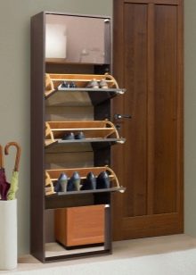Шафи для взуття в передпокій (61 фото): вузькі і широкі взуттєві шафи, шафи з асиметричними дверима, високі кутові обувниці і інші варіанти