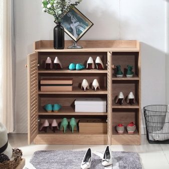 Шафи для взуття в передпокій (61 фото): вузькі і широкі взуттєві шафи, шафи з асиметричними дверима, високі кутові обувниці і інші варіанти