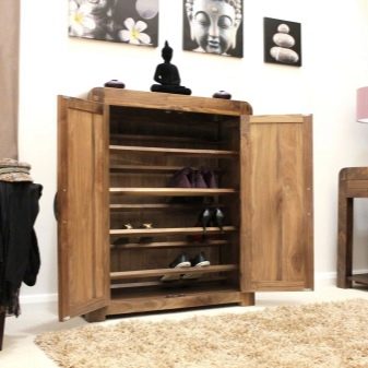 Шафи для взуття в передпокій (61 фото): вузькі і широкі взуттєві шафи, шафи з асиметричними дверима, високі кутові обувниці і інші варіанти