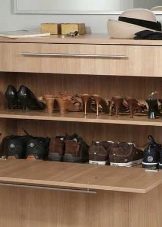 Шафи для взуття в передпокій (61 фото): вузькі і широкі взуттєві шафи, шафи з асиметричними дверима, високі кутові обувниці і інші варіанти