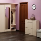 Шафи для взуття в передпокій (61 фото): вузькі і широкі взуттєві шафи, шафи з асиметричними дверима, високі кутові обувниці і інші варіанти