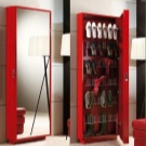 Шафи для взуття в передпокій (61 фото): вузькі і широкі взуттєві шафи, шафи з асиметричними дверима, високі кутові обувниці і інші варіанти