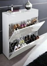 Шафи для взуття в передпокій (61 фото): вузькі і широкі взуттєві шафи, шафи з асиметричними дверима, високі кутові обувниці і інші варіанти