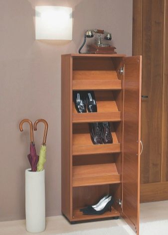 Шафи для взуття в передпокій (61 фото): вузькі і широкі взуттєві шафи, шафи з асиметричними дверима, високі кутові обувниці і інші варіанти