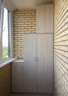 Шафи на балкон (108 фото): приклади вбудованих і пластикових балконних шаф, цікаві ідеї дизайну шаф з рольставнями і з вагонки