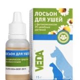 Шантильї-Тіффані (25 фото): опис чорних кішок, особливості породи. Зміст кошенят та дорослих котів
