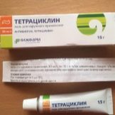Шантильї-Тіффані (25 фото): опис чорних кішок, особливості породи. Зміст кошенят та дорослих котів