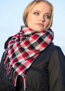 Шарф в клітку (87 фото): мода на великій картатий, шотландські шарфи, з чим носити моделі в чорно-білу клітинку