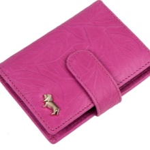 Шкіряні візитниці (61 фото): жіночі кишенькові моделі з логотипом з шкіри для пластикових і дисконтних карт