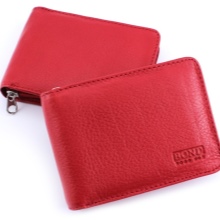 Шкіряні візитниці (61 фото): жіночі кишенькові моделі з логотипом з шкіри для пластикових і дисконтних карт