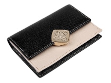 Шкіряні візитниці (61 фото): жіночі кишенькові моделі з логотипом з шкіри для пластикових і дисконтних карт